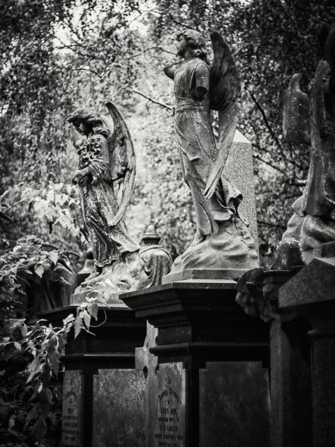 Abney Park Cemetery gallery - Image 4