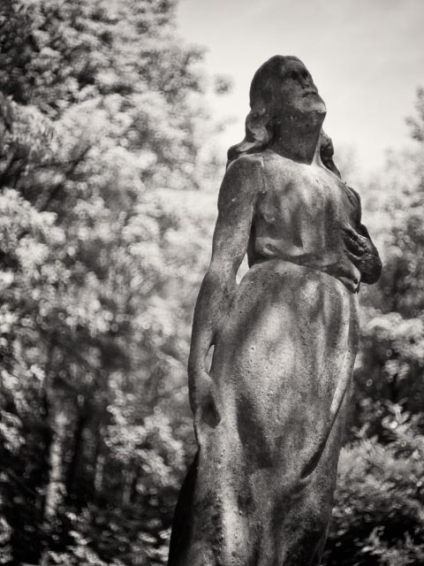 Highgate East Cemetery gallery - Image 8