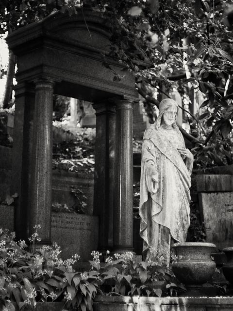 Highgate West Cemetery gallery - Image 4