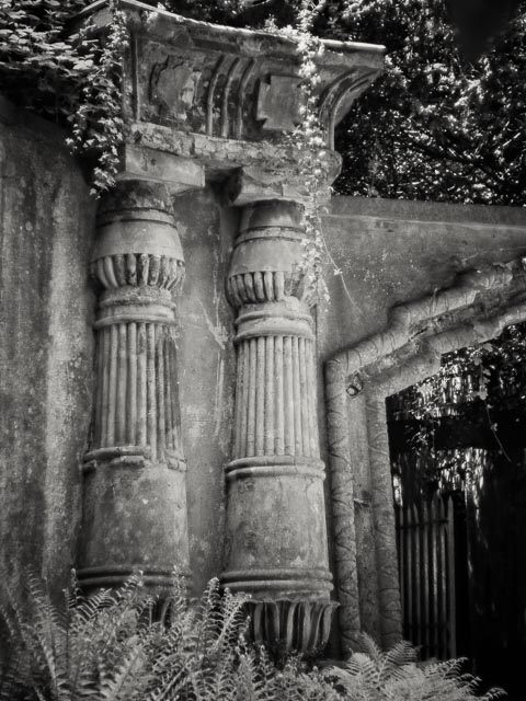 Highgate West Cemetery gallery - Image 5