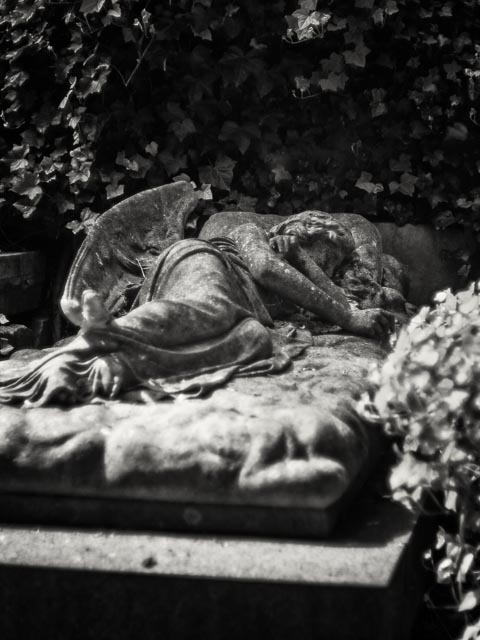 Highgate West Cemetery gallery - Image 12