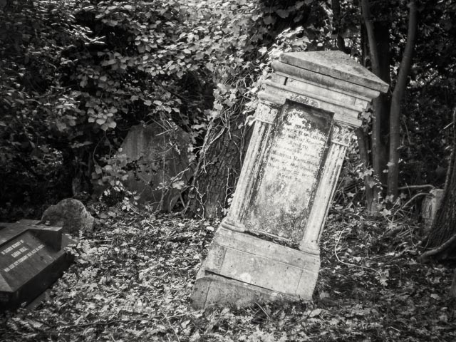 Nunhead Cemetery gallery - Image 12