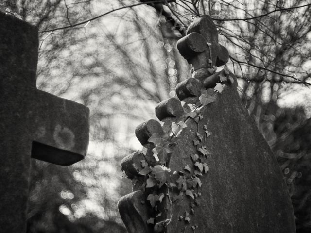West Norwood Cemetery gallery - Image 9