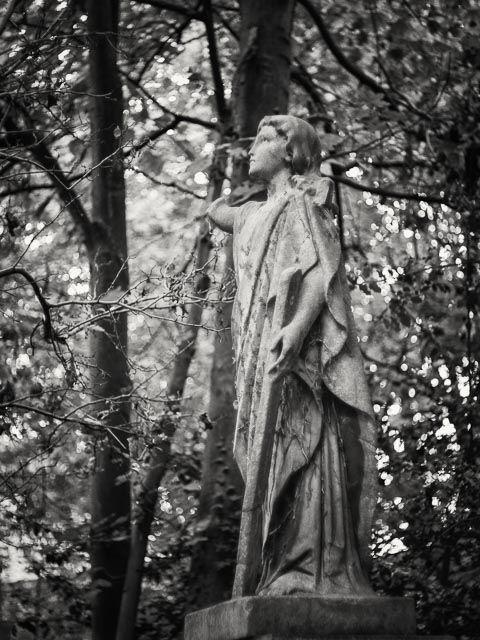 $countries_display[$i] image 59