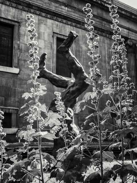 $countries_display[$i] image 57