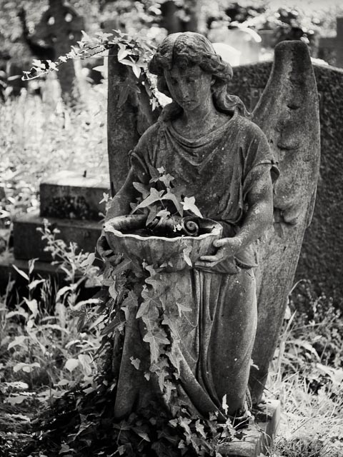 $countries_display[$i] image 49