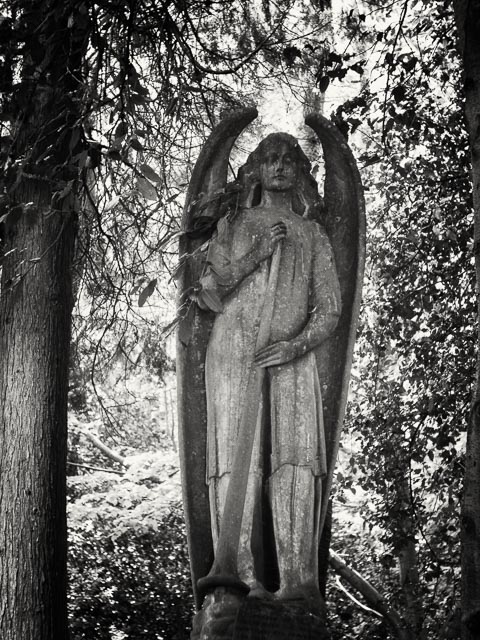 $countries_display[$i] image 48