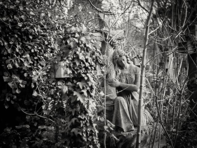 $countries_display[$i] image 36