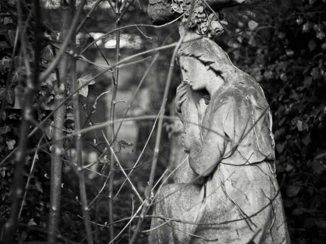 $countries_display[$i] image 33