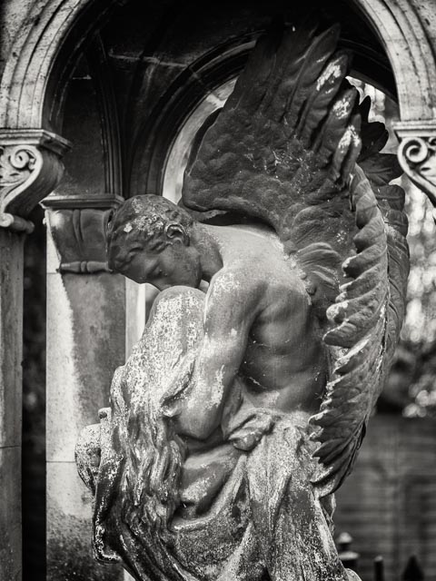 $countries_display[$i] image 10