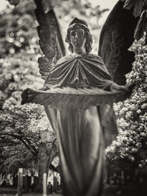 $countries_display[$i] image 19