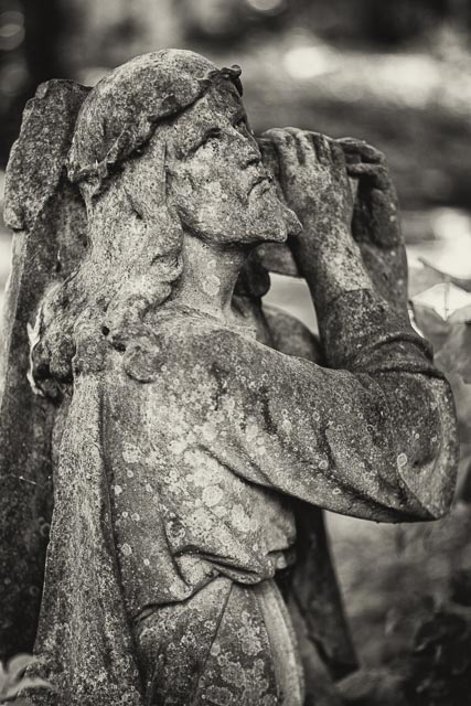 $countries_display[$i] image 13