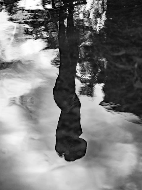 $countries_display[$i] image 12