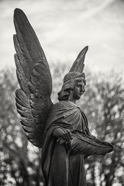 $countries_display[$i] image 10