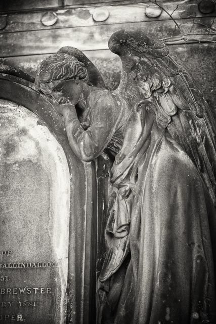 $countries_display[$i] image 39