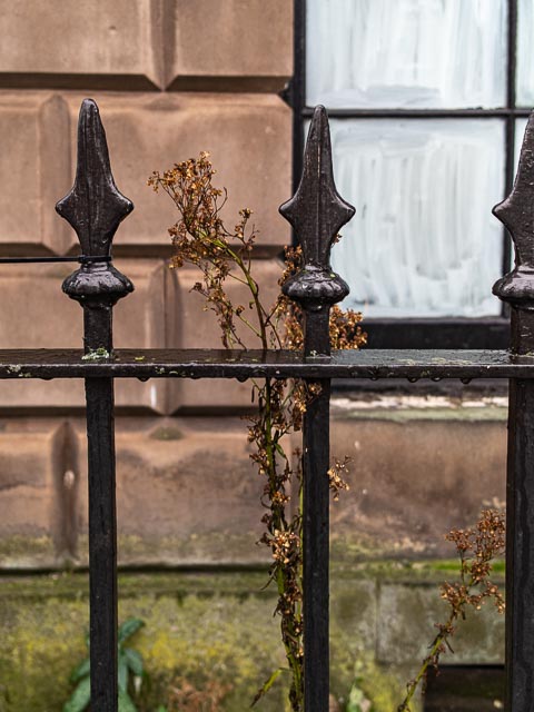 DxO One gallery - Image 2