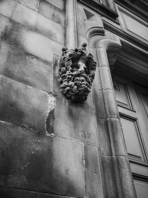 DxO One gallery - Image 3