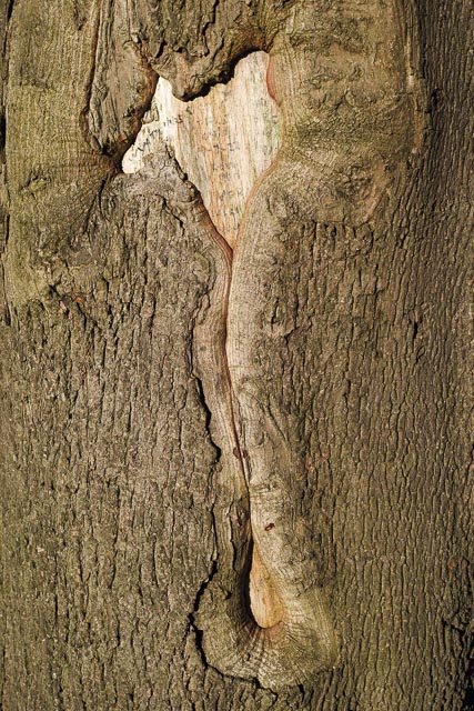 Sigma DP2 Merrill gallery - Image 3