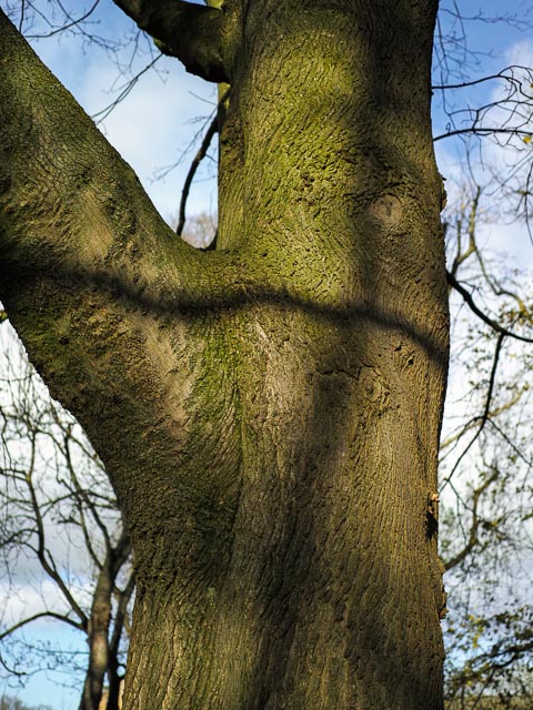 Sigma DP2 Merrill gallery - Image 4