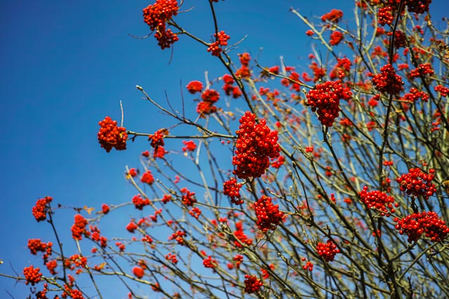 Sigma DP2 Merrill gallery - Image 11