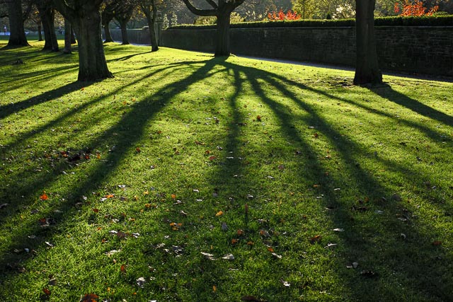 Sigma DP2 Merrill gallery - Image 19