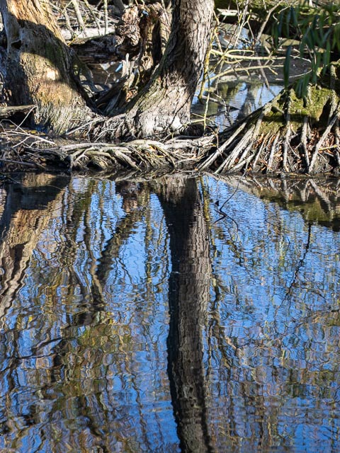 Olympus OM Zuiko 135mm f/4.5 Auto-Macro gallery - Image 15