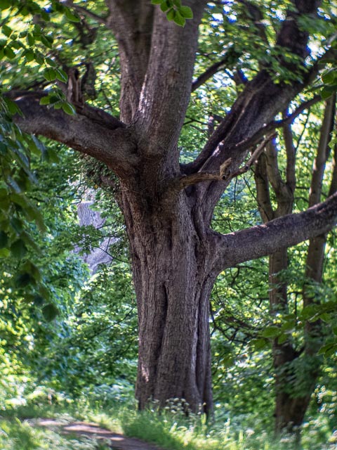 D mount cine lens gallery - Image 16