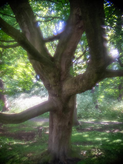 D mount cine lens gallery - Image 29