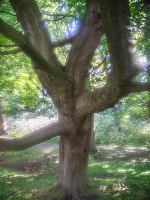 D mount cine lens gallery - Image 30