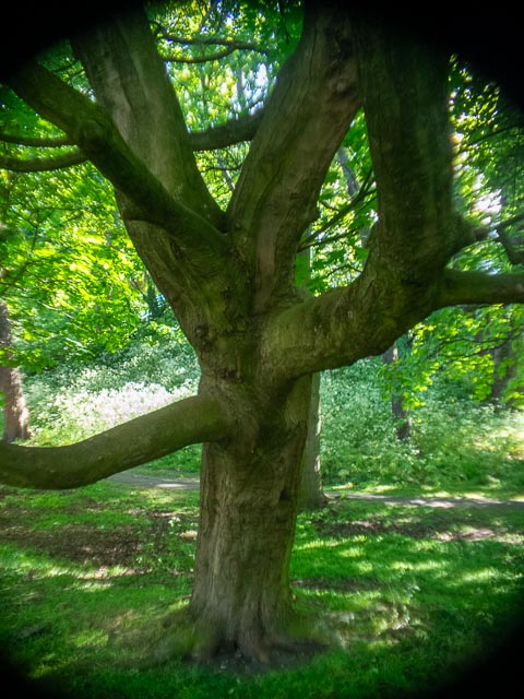 D mount cine lens gallery - Image 29