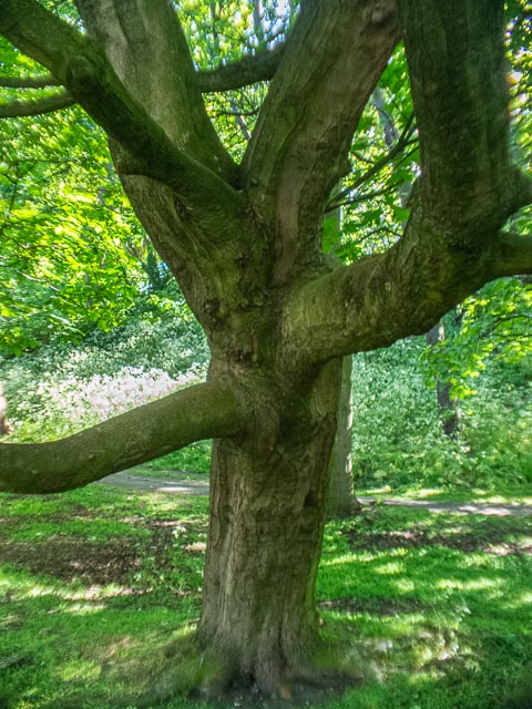 D mount cine lens gallery - Image 30