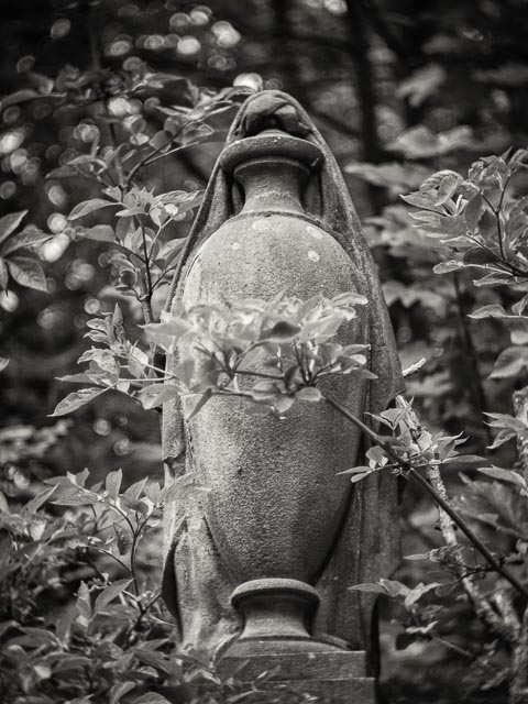 D mount cine lens gallery - Image 6