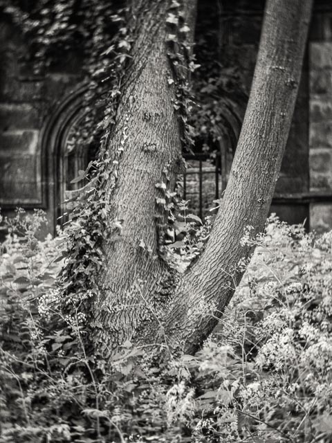 D mount cine lens gallery - Image 8