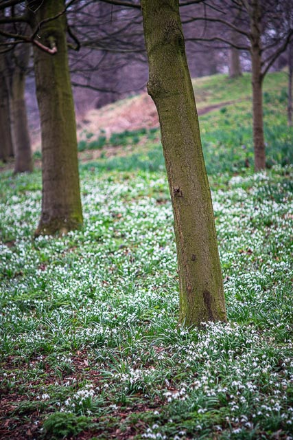 Photostream image 110