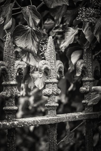 Photostream image 101