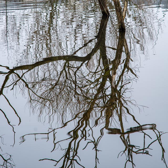 Photostream image 99