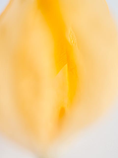 Photostream image 50