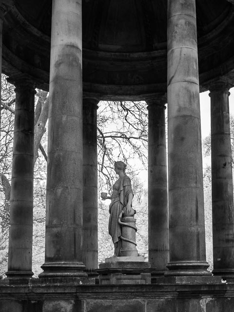 Photostream image 35