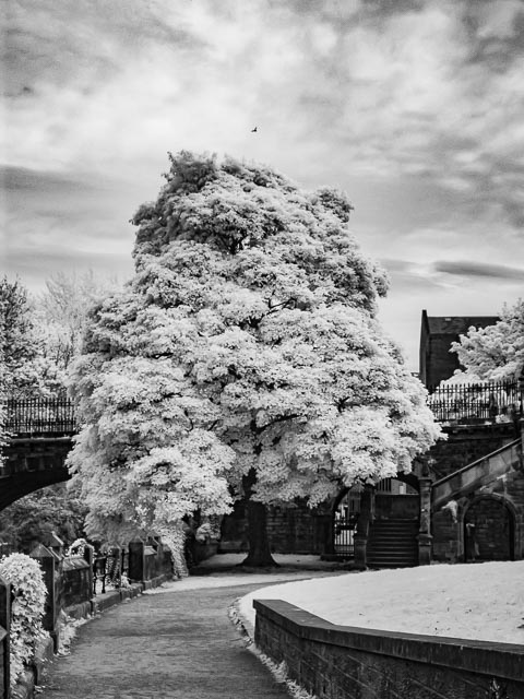 Photostream image 34