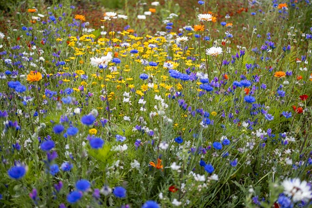 Photostream image 27