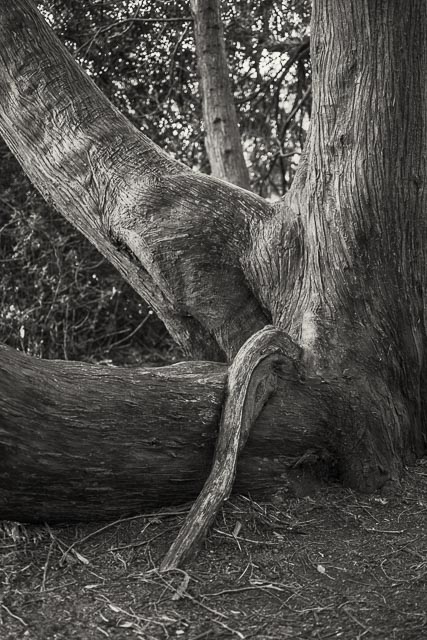 Photostream image 15