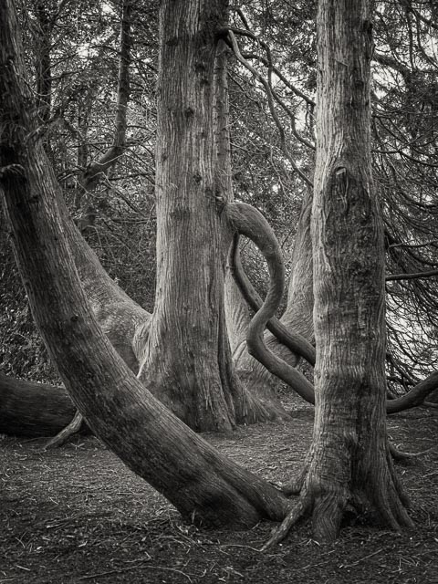 Photostream image 13