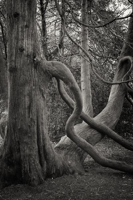 Photostream image 12
