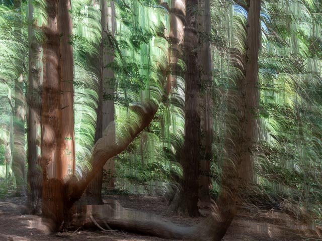Photostream image 10