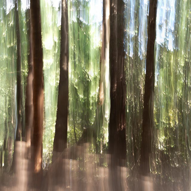 Photostream image 9