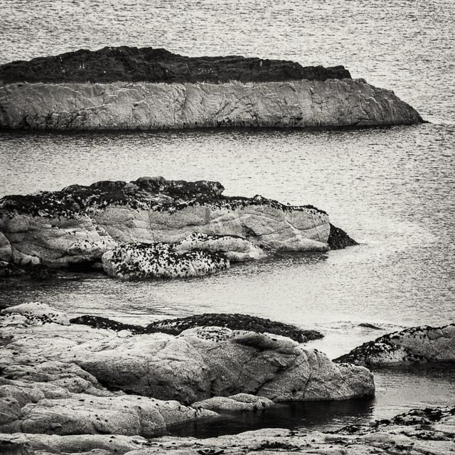 Photostream image 11