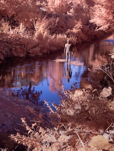 Photostream image 8