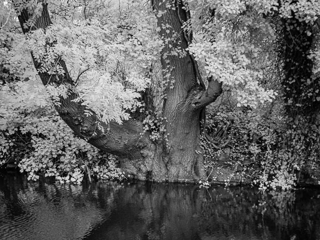 Photostream image 6
