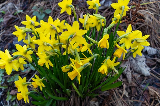 Photostream image 11