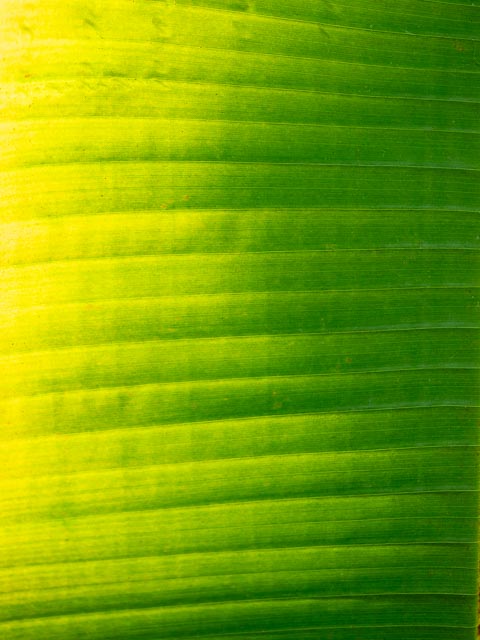 Photostream image 37